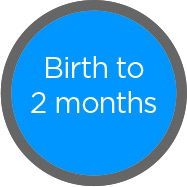 Birth to 2 months