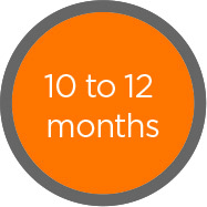 10 to 12 months