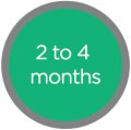 2 to 4 months