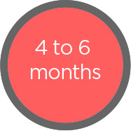 4 to 6 months