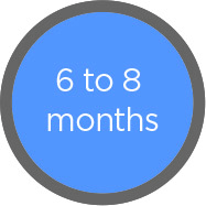 6 to 8 months