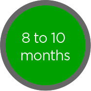 8 to 10 months