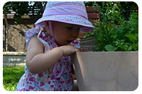 Sienna searching in the pot plant