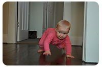 Sienna crawling