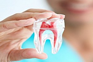 Specialist Services - Endodontics